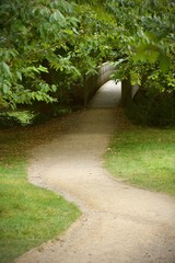Path under trees leading to wooden bridge