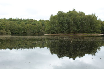 Fototapeta na wymiar a pebble lake in the moor with an island in northern Germany