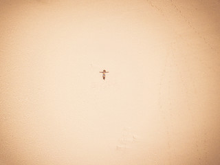 Happy free caucasian woman lay down on the sand at the beach enjoying the summer holiday vacation - travel and wanderlust concept with beautiful girl from vertical view - outdoor leisure activity