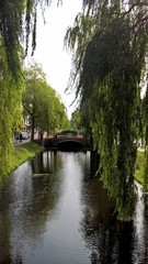 Kanäle in Papenburg