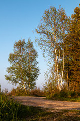 Leelenau State Park Landscape