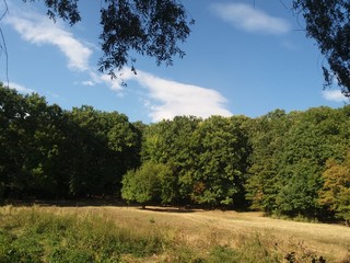 Landskape.lake.nature.blue.water.sky.