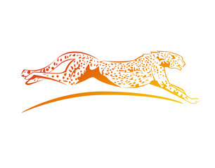 vector illustration of a cheetah