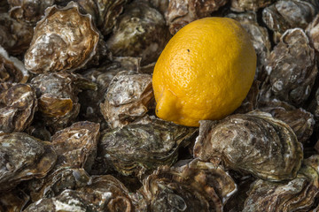 lemon with a lot of oysters