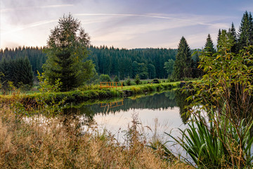 Thierbacher Teich Jägersgrün