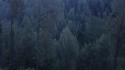 Aerial: People enjoy view of range nature in Java island , Indonesia, fly cam slowly moving forward