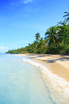 Palm trees on white tropical beach. Travel background. © Swetlana Wall