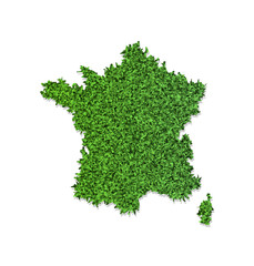 Vector simplified illustration icon with green grassy silhouette of France map. White background