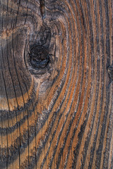 Tiger Skin Wooden Background
