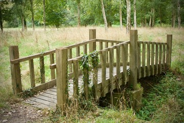 Weathered wooden bridge over ditch in woods