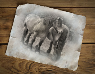 zwei Pferde auf altem Papier