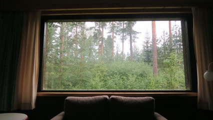 Obraz premium Blick aus dem Fenster in den Wald 