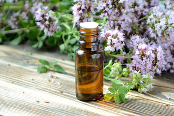 Essential oil of oregano in a bottle and fresh flowers on a wooden table Natural cosmetics and aromatherapy
