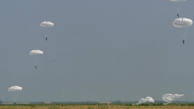 A detachment of paratroopers landed in a field, white round parachutes