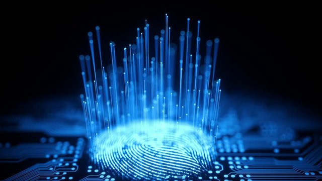 Fingerprint, printed circuit, releasing binary codes, microchip concept and data processing and digital identification.