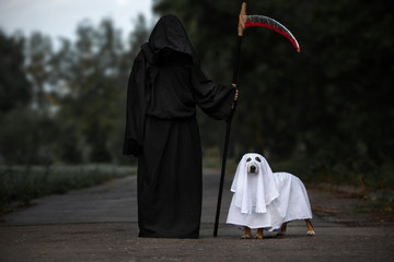 owner and dog posing for halloween in costumes