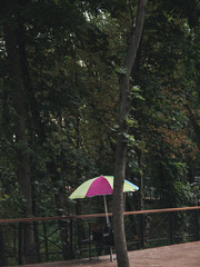 umbrella in the park