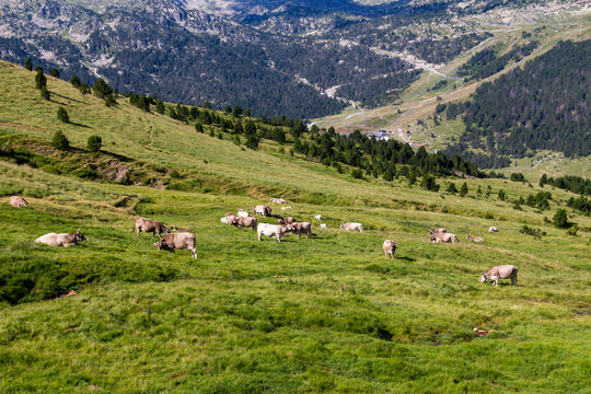 Andorra, Pas de la Casa (Pirenei)