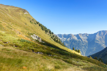 Fototapeta na wymiar Bergwiese in den herbstlichen Alpen