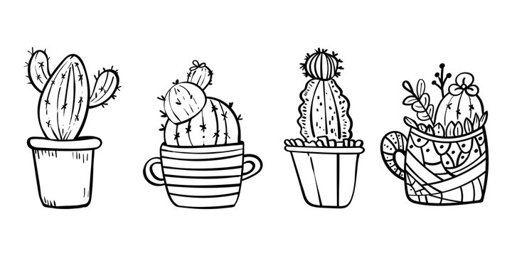 Cacti blooming with spikes. Coloring page for children and adults. - Vector. Vector illustration