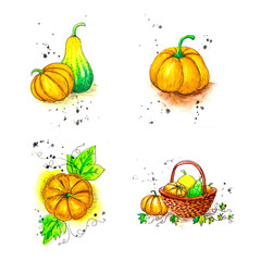 Set of watercolor cards and hand drawn pictures. Yellow, orange ripe pumpkins. Lie individually or in a basket. Harvest concept, harvest season.
