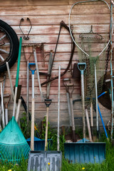 Rustic garden tools, snow shovels, spades, and rake, on the background of a weathered barn board...