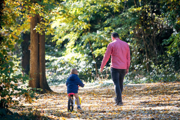 Fototapeta premium Rear view of father and small son with a balance bike on a walk in autumn forest.