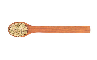 Dry fennel in spoon