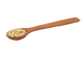 Dry fennel in spoon