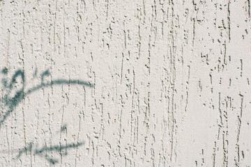 Abstract background and texture of a plastered wall in light gray with bark beetle texture and...