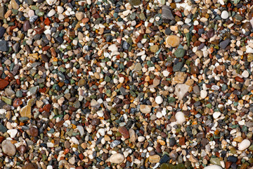 Stones texture. Background the damp multi-colored pebbles close up soft focus from on the pebbly beach in cloudy weather.