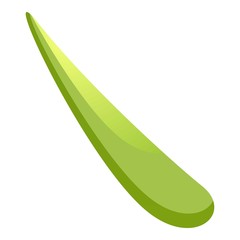 Long camellia leaf icon. Cartoon of long camellia leaf vector icon for web design isolated on white background