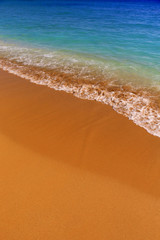 Idyllic tropical sand beach and wawe