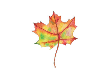 Watercolor fall, autumn yellow, orange leaf hand drawn design elements.