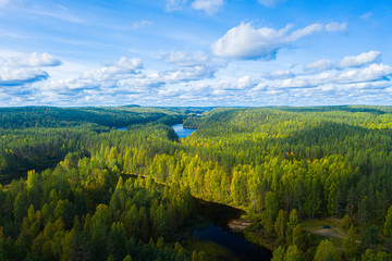The reserved forests of Karelia in the area of Medvezhyegorsk Bird's-eye photography Background