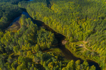 The reserved forests of Karelia in the area of Medvezhyegorsk Bird's-eye photography Background