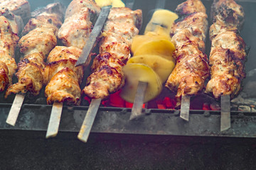 The meat is fried over an open fire, a weekend barbecue. Flame outdoors.