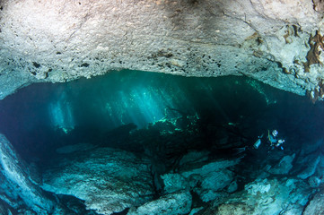 Scuba diving at the Cenote Jardin del Eden in Mexico