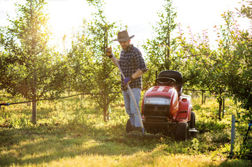 A mature farmer working in orchard at sunset. Copy space.