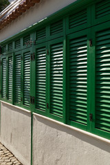 the green colorful shutter background.