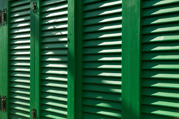 the green colorful shutter background.