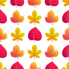 Autumn seamless background with maple  leaves