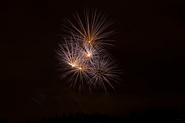 Fireworks in new year.