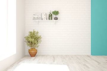 Empty room in white color with green flower and shelf on a wall. Scandinavian interior design. 3D illustration