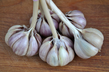 Linked crop of garlic heads