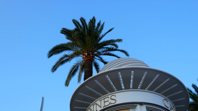 Rotating Cannes title with palm tree