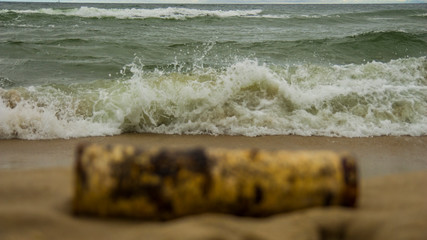 Kawałek drewna nad morzem  © Tymoteusz