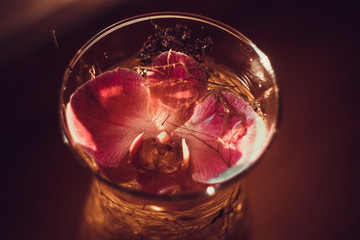Orchid in a glass of water and dry grass on a light background