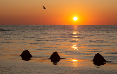 Sunrise with reflection and a flying bird on the fishing beach in Krapets. Northern Black Sea Coast, Bulgaria.