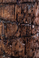 Wood, cut, wood texture drawing, natural, background